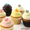 Cupcakes Assortiment